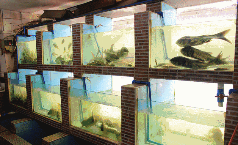 xingkong体育官网登录