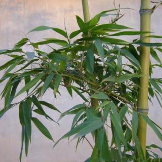 ‘xingkong.com’坚持走中国特色自主创新道路_时事政治_中公教育网(图2) ‘xingkong.com’坚持走中国特色自主创新道路_时事政治_中公教育网(图2)