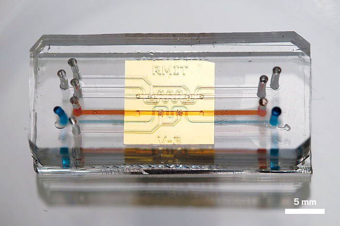 xingkong体育官网登录