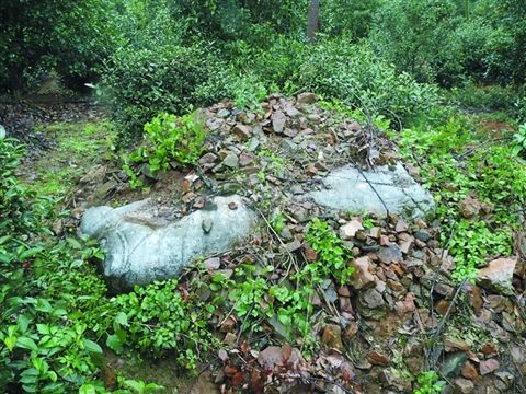 中国共产党中央委员会事情条例-xingkong体育官网登录(图4) 中国共产党中央委员会事情条例-xingkong体育官网登录(图4)