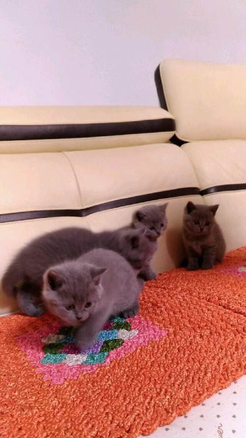 有这些亲属服刑,公务员政审就没戏|xingkong体育官网登录(图3) xingkong体育官网登录