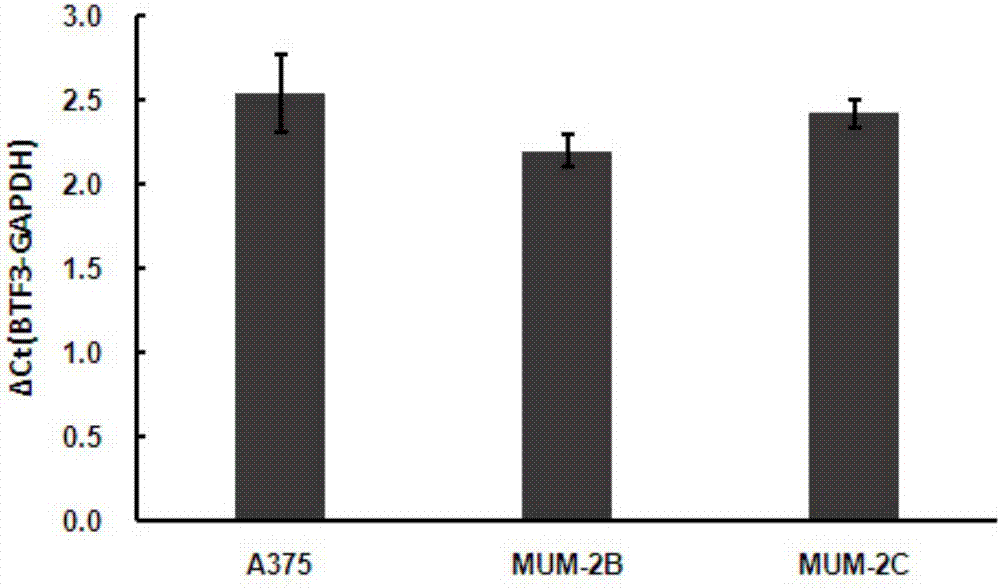 24个厨房装修设计案例 适合大中小户型 最喜欢的还是倒数第三个|星空体育官网(图3) 星空体育官网