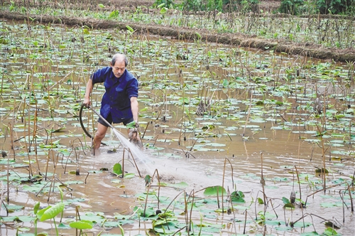 迪拜机场启用新logo和口号【xingkong体育官网登录】(图2)