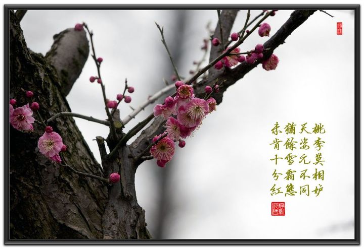 xingkong体育官网登录