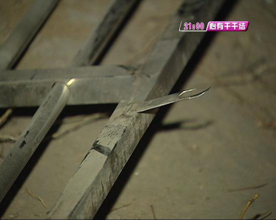 xingkong体育官网登录