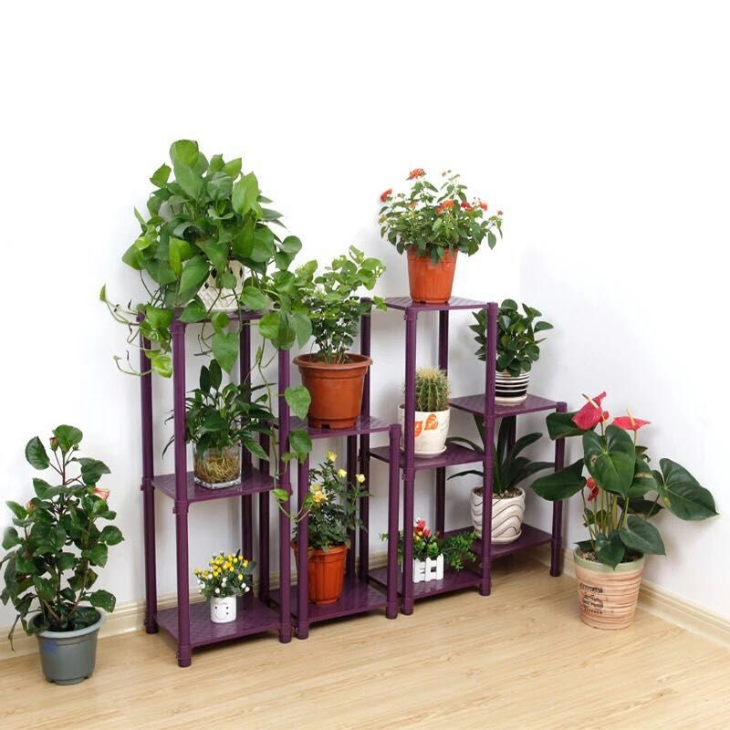 xingkong体育官网登录