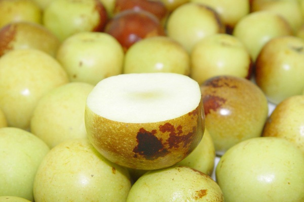 xingkong体育官网登录