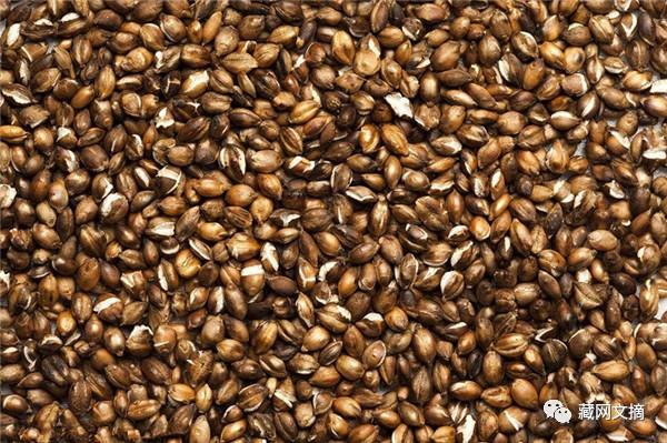 星空体育官网|印媒:印俄正在斯里兰卡等国开展民用核能合作(图3) 星空体育官网|印媒:印俄正在斯里兰卡等国开展民用核能合作(图3)