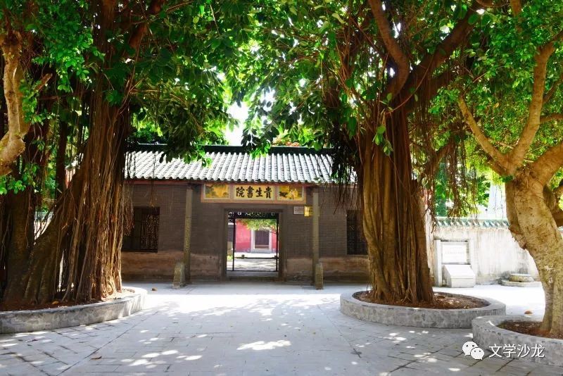 【xingkong.com】一场由小学生们做主的思政课:有趣、有爱、有温度(图2) 星空体育官网