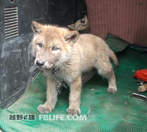 直播间装修用度一般怎么盘算?:星空官网登录(图2) xingkong体育官网登录