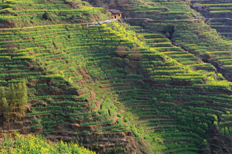 xingkong体育官网登录