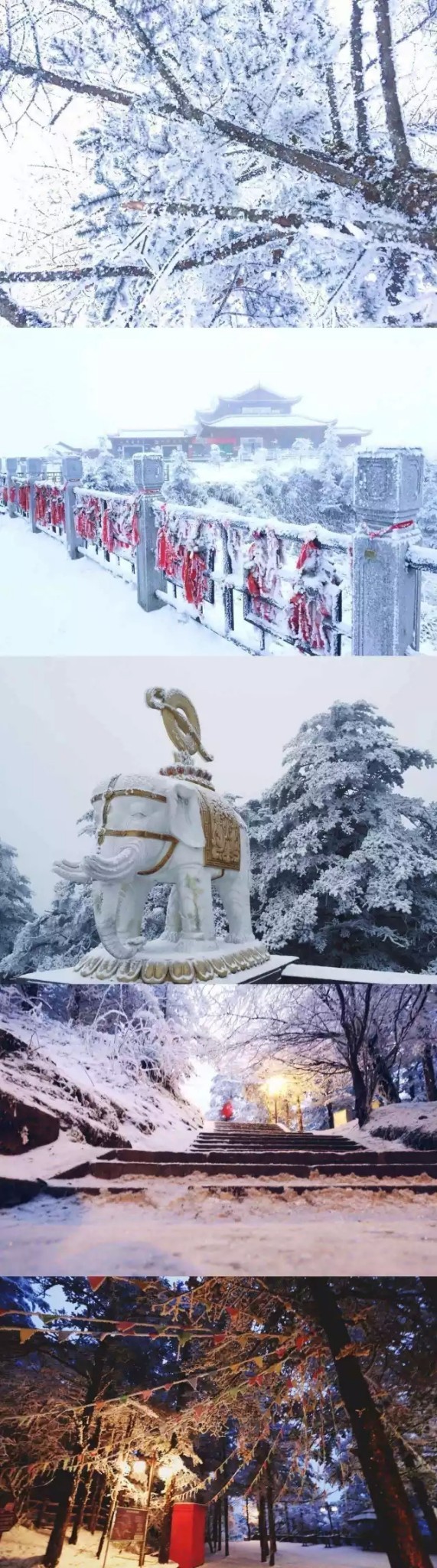 xingkong体育官网登录|史无前例:冰岛航空开除所有乘务员(图2) 星空体育官网