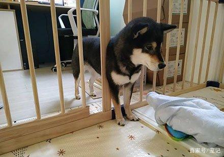 卧室窗帘用什么颜色好?【xingkong体育官网登录】(图3) 星空官网登录