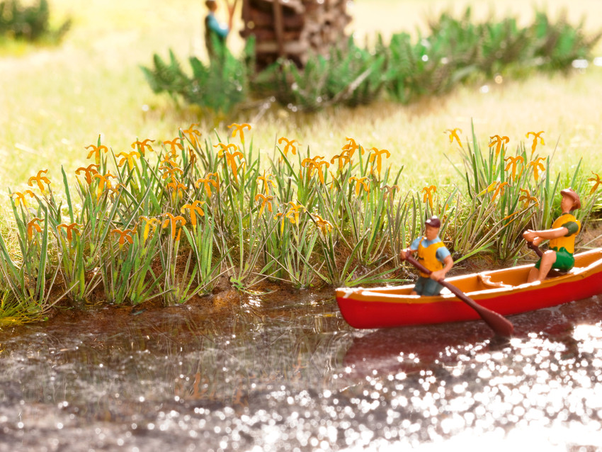 xingkong体育官网登录