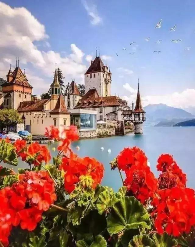 “星空官网登录”黑龙江省完善异地就医结算制度 异地患者定点医院住院将直接结算(图3) 星空体育官网