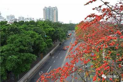 2019出租房装修攻略大全-xingkong.com(图2)