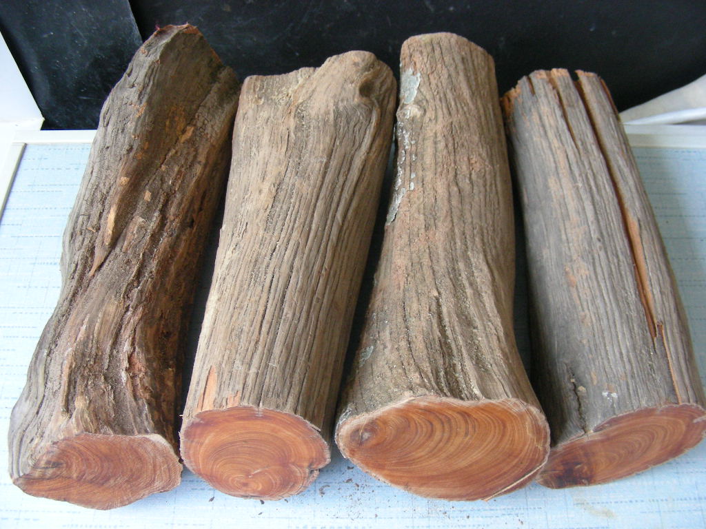 ‘xingkong体育官网登录’奥雅设计集团深大论坛：对话中法景观(图2)