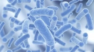 xingkong体育官网登录