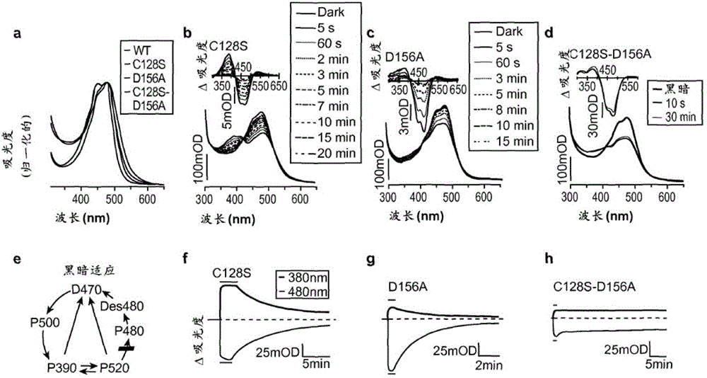 【星空体育官网】客厅灯风水禁忌有哪些(图2) xingkong体育官网登录