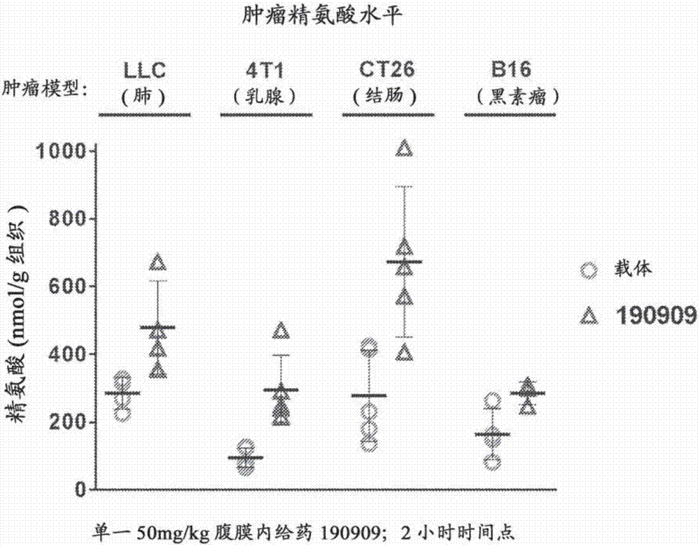 xingkong体育官网登录