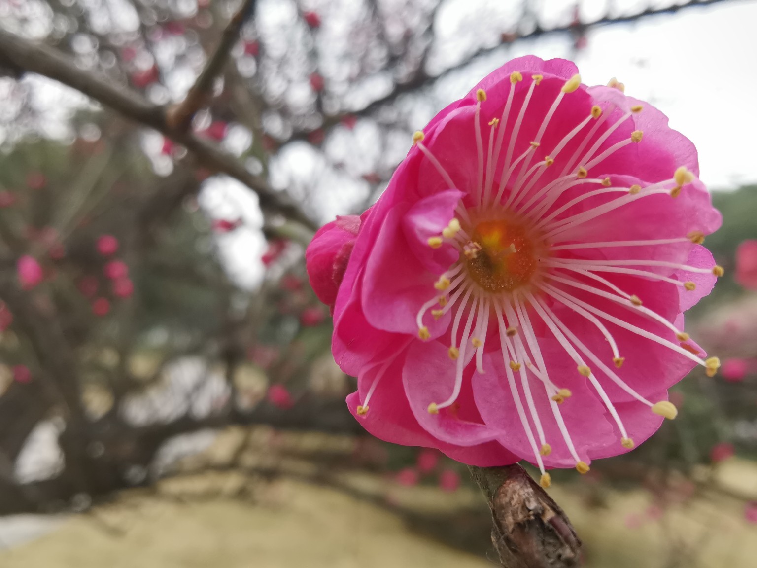 北京本周五就能看电影了，但这些事项要注意‘xingkong.com’(图3)