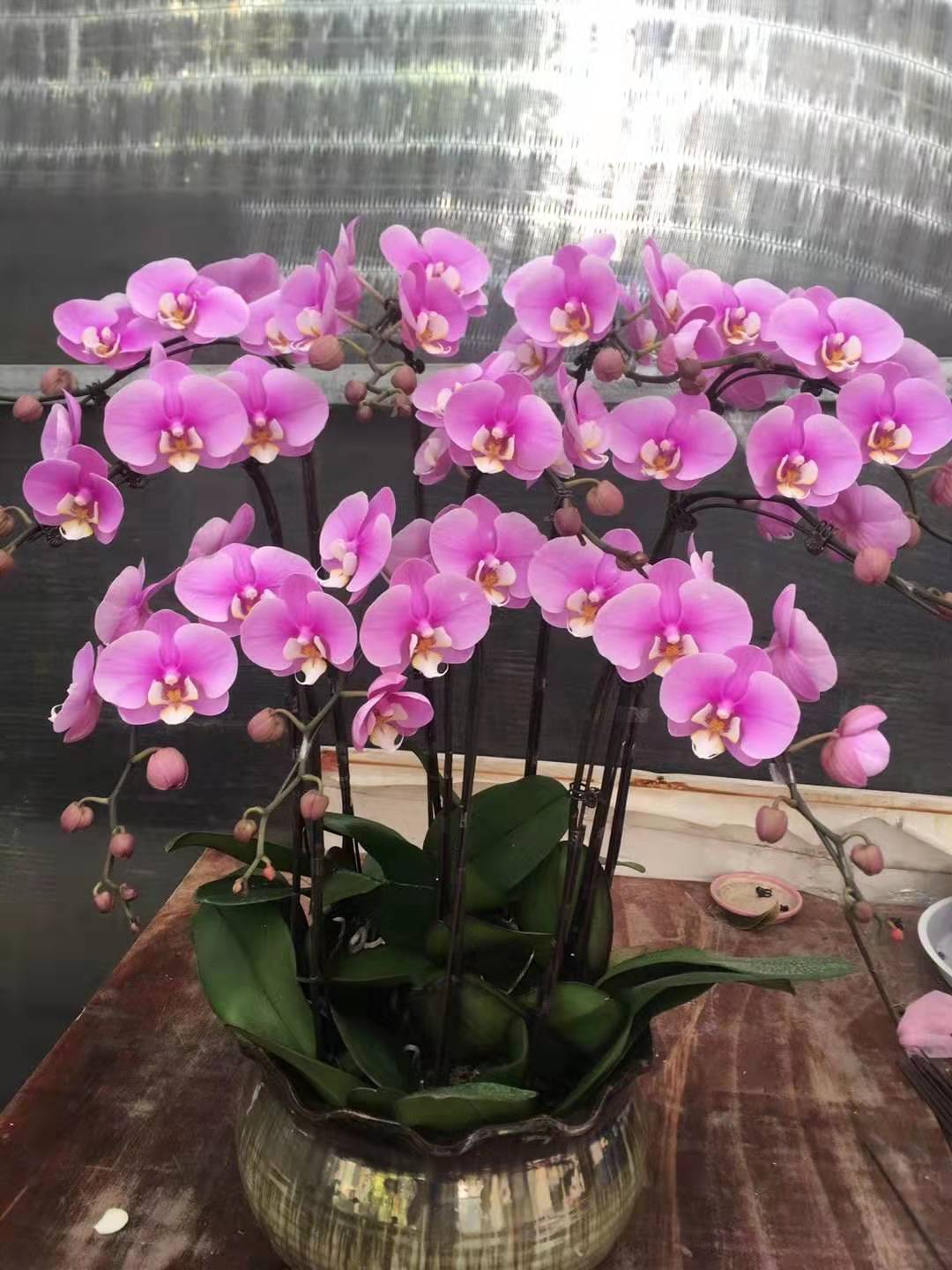 xingkong体育官网登录